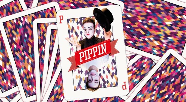 pippin artwork-banner